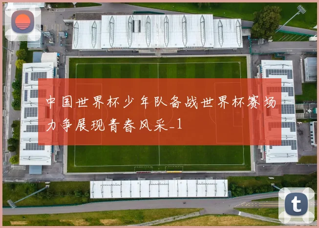 中国世界杯少年队备战世界杯赛场力争展现青春风采_1